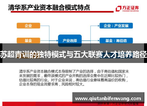 苏超青训的独特模式与五大联赛人才培养路径